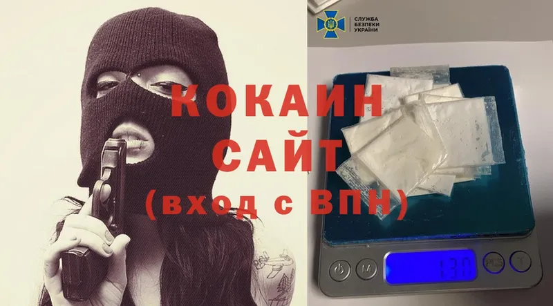 Cocaine FishScale  продажа наркотиков  Балей 